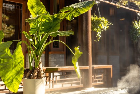 北京四合院——旅游新寵與文化遺產的雙重使命